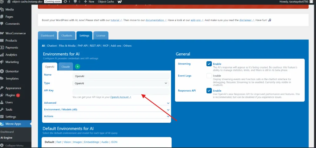 Configure Plugin to Connect ChatGPT to WordPress