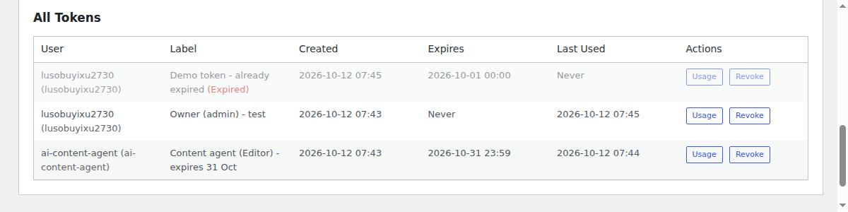 The InstaMCP API Tokens list showing three tokens with their user, label, created date, expiry date and last used time, including an Editor token that expires on 31 October and a demo token marked Expired.