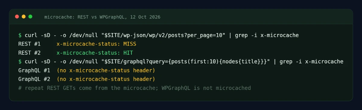 Terminal output of response headers: a repeated REST request goes from x-microcache-status MISS to HIT, while WPGraphQL requests return no x-microcache-status header.