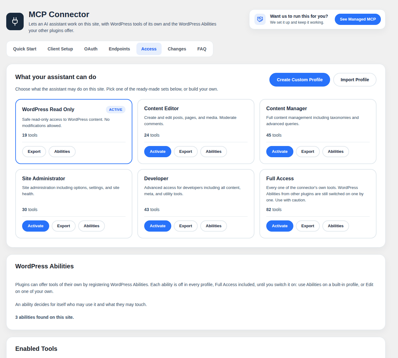MountDev AI MCP Connector Access screen for choosing what the AI assistant may do from six ready-made profiles