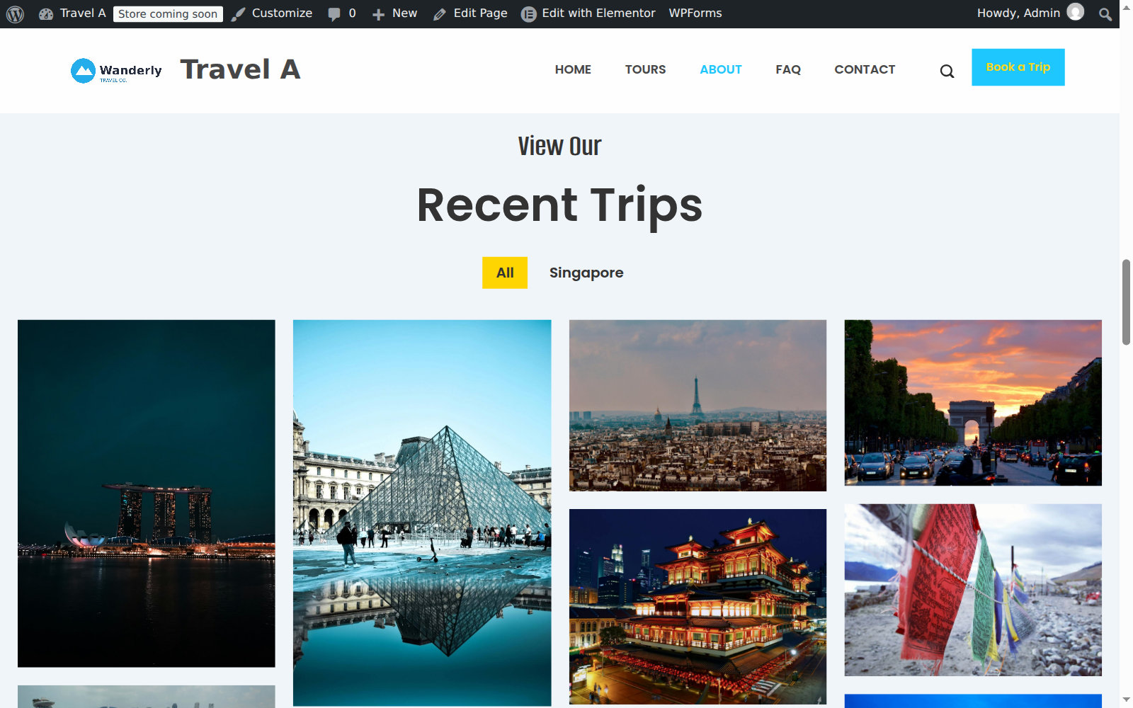 Recent Trips image gallery section on the imported template