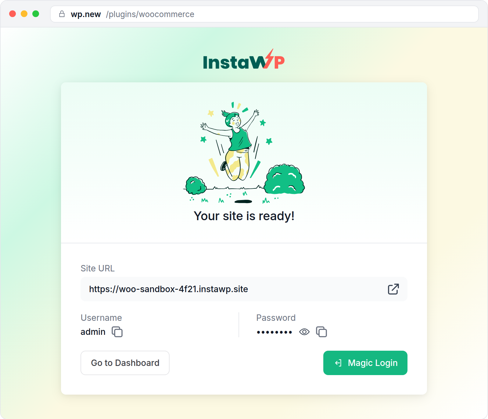wp.new of InstaWP