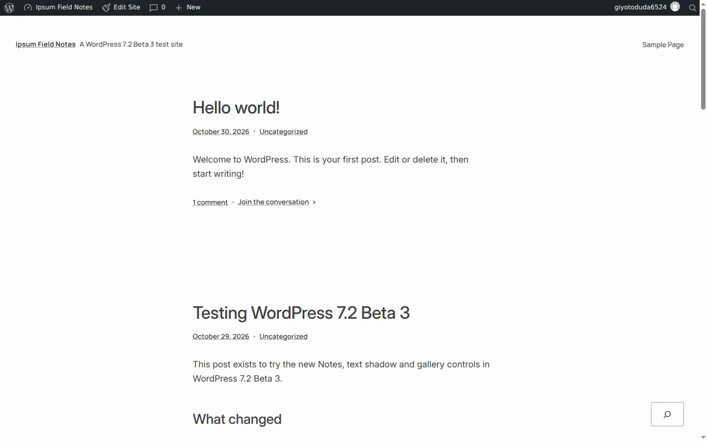 The Ipsum default theme in WordPress 7.2 Beta 3 showing a minimal blog home page with a small site title, dotted-underline links and wide white space around each post.